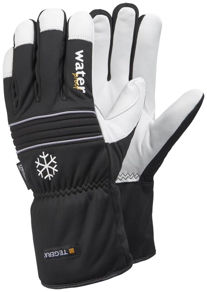 GANT TEGERA 296 (1PR)